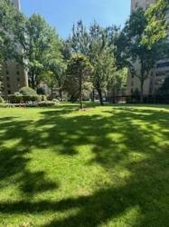 4 Fordham Hill Oval 2E Bronx, NY 10468