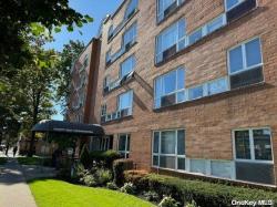205 Mineola Boulevard 3I Mineola, NY 11501