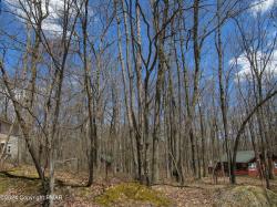 Lot#019 Holiday Drive White Haven, PA 18661