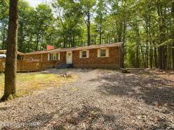 238 White Pine Dr Pocono Lake, PA 18347