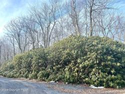 LotsA17,18 Rhododendron Rd & Waterbirch Drive Jim Thorpe, PA 18229