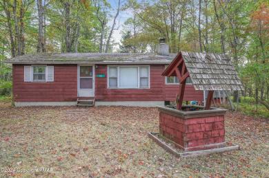 161 Squaw Trail Pocono Lake, PA 18347