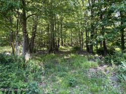 lot 11 Dyson Road Swiftwater, PA 18370