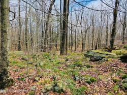 Lot 23 R Lakewood Court Canadensis, PA 18325