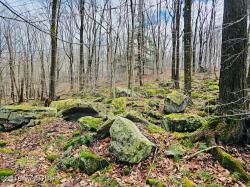 Lot 23 R Lakewood Court Canadensis, PA 18325