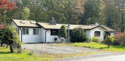 146 Orono Drive Pocono Lake, PA 18347