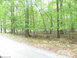 1201 Maple Drive, Pocono Lake, PA 18347