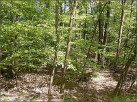 208 Oak Terrace, Pocono Lake, PA 18347