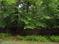1512 Woods End Road, Pocono Lake, PA 18347