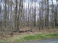 Lot 834 D1 Stag Run Road, Pocono Lake, PA 18347