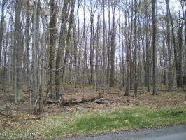 Lot 834 D1 Stag Run Road, Pocono Lake, PA 18347