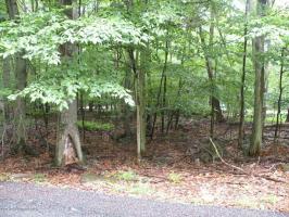 801 Selig Rd, Pocono Lake, PA 18347
