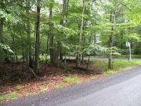 801 Selig Rd, Pocono Lake, PA 18347
