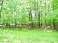 1002 Martha's Lane, Pocono Lake, PA 18347