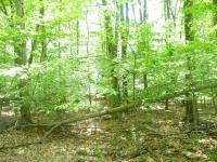 1910 Mountain View Drive, Pocono Lake, PA 18347