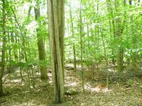 1911 Mountain View Drive, Pocono Lake, PA 18347