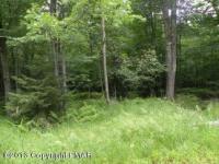 1501 Tommys Ln, Pocono Lake, PA 18347