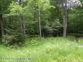1501 Tommys Ln, Pocono Lake, PA 18347