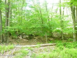 615 Locust Lane, Pocono Lake, PA 18347