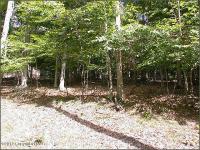 409 Hemlock Drive, Pocono Lake, PA 18347
