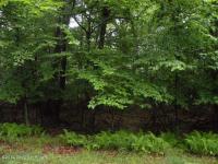 804 Evergreen Drive, Pocono Lake, PA 18347