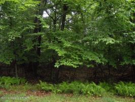 804 Evergreen Drive, Pocono Lake, PA 18347