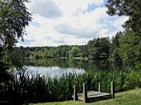 14 Shelly Ln, Mount Pocono, PA 18344