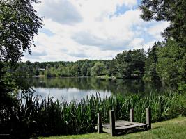 14 Shelly Ln, Mount Pocono, PA 18344