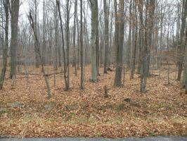 125 King Arthur Road, Blakeslee, PA 18610