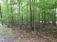 210 Fox Trail, Pocono Lake, PA 18347