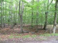 209 Beech Lane, Pocono Lake, PA 18347