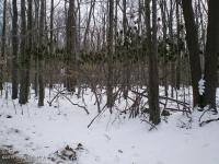 1542 Lake Lane, Pocono Lake, PA 18347