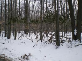 1542 Lake Lane, Pocono Lake, PA 18347