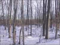 1 2 Wechquetank Drive, Pocono Lake, PA 18347