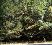 D187 Vineland Rd, Albrightsville, PA 18210