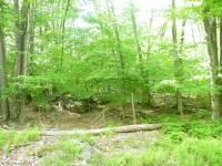 628 Mountain View Drive, Pocono Lake, PA 18347