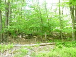 628 Mountain View Drive, Pocono Lake, PA 18347