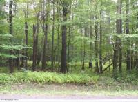 1 Sullivan Road, Pocono Pines, PA 18350