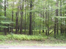 1 Sullivan Road, Pocono Pines, PA 18350