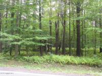 1 Sullivan Road, Pocono Pines, PA 18350