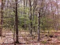 2 Longrifle Road, Pocono Pines, PA 18350