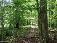 918 Stag Run Road, Pocono Lake, PA 18347