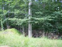 704 Hillside Terrace, Pocono Lake, PA 18347