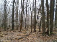 2009 Ridge Road, Pocono Lake, PA 18347