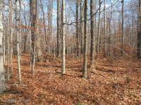 920 Stag Run Road, Pocono Lake, PA 18347
