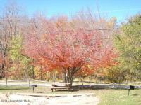 Lot 19 Tammany Dr, Pocono Lake, PA 18347