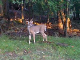 G17 Wolf Hollow Rd, Lake Harmony, PA 18624