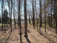 22 Trout Creek Drive, Pocono Lake, PA 18347