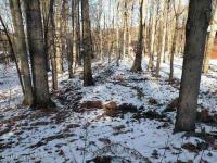 706 Hillside Terrace, Pocono Lake, PA 18347