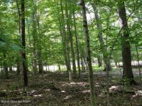 801 Deer Run Road, Pocono Lake, PA 18347